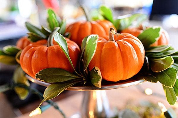 Simple-and-classic-Thanksgiving-centerpiece