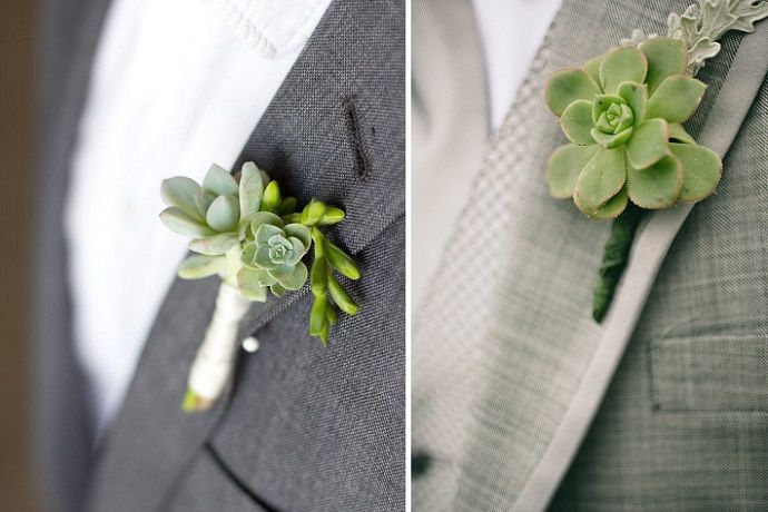кактусы в свадебном оформлении