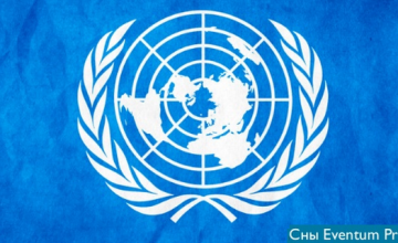 в ООН