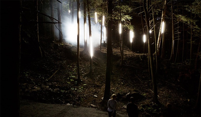 Волшебный лес Foresta Lumina: когда сказка становится реальностью