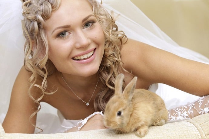 Portrait of a pretty bride with a rabbit