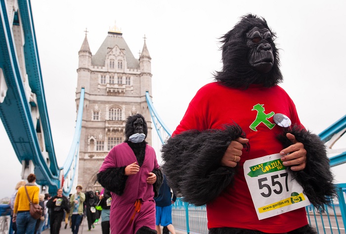 London Great Gorilla Run
