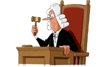судья