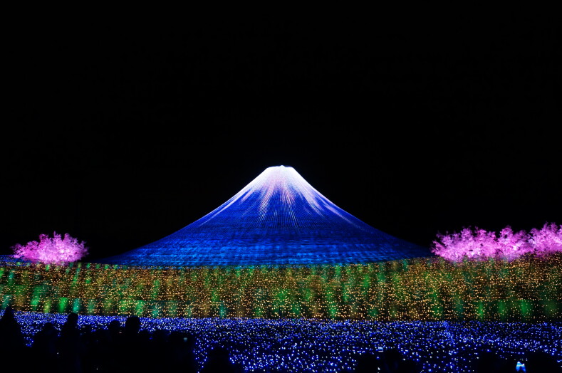 Фестиваль света в японии