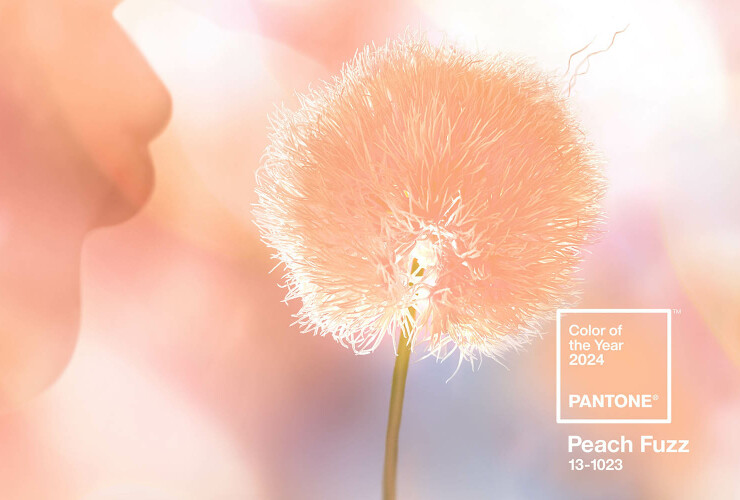 Event-палитра 2024: главный цвет года от Pantone и актуальные оттенки на весну-лето