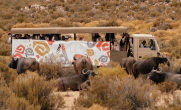 Лучшие кейсы с премии «Событие Года»: Победитель в номинации «MICE проект года». Африка: начало. Миллиарды